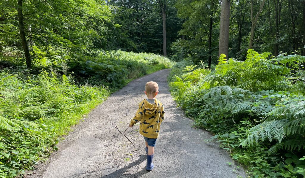 Un jeune enfant, vu de dos, marche sur un chemin forestier en tenant une branche dans la main. Il est entouré d'une végétation luxuriante composée de fougères et de grands arbres, tandis que le soleil filtre à travers le feuillage.