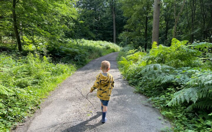 Un jeune enfant, vu de dos, marche sur un chemin forestier en tenant une branche dans la main. Il est entouré d'une végétation luxuriante composée de fougères et de grands arbres, tandis que le soleil filtre à travers le feuillage.