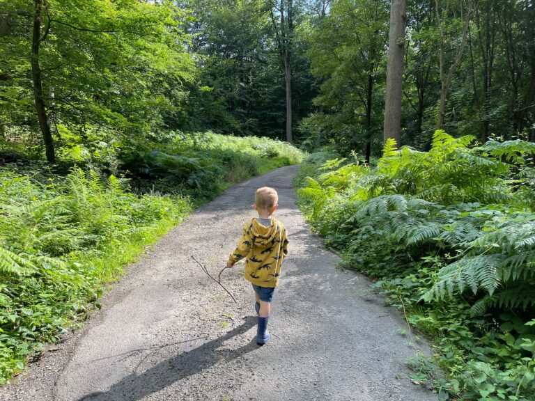 Un jeune enfant, vu de dos, marche sur un chemin forestier en tenant une branche dans la main. Il est entouré d'une végétation luxuriante composée de fougères et de grands arbres, tandis que le soleil filtre à travers le feuillage.